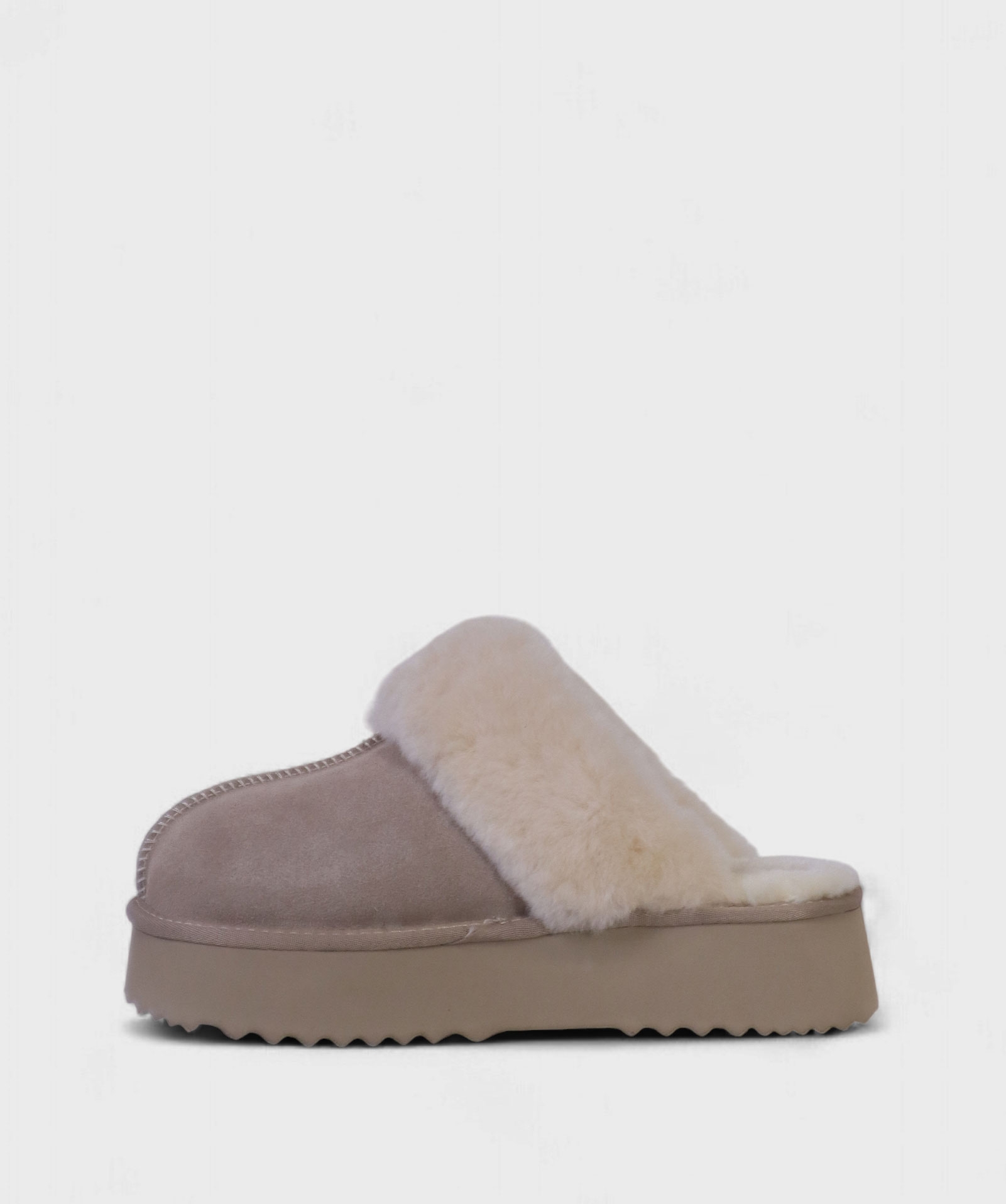 TAUPE NORD FW25 D11311