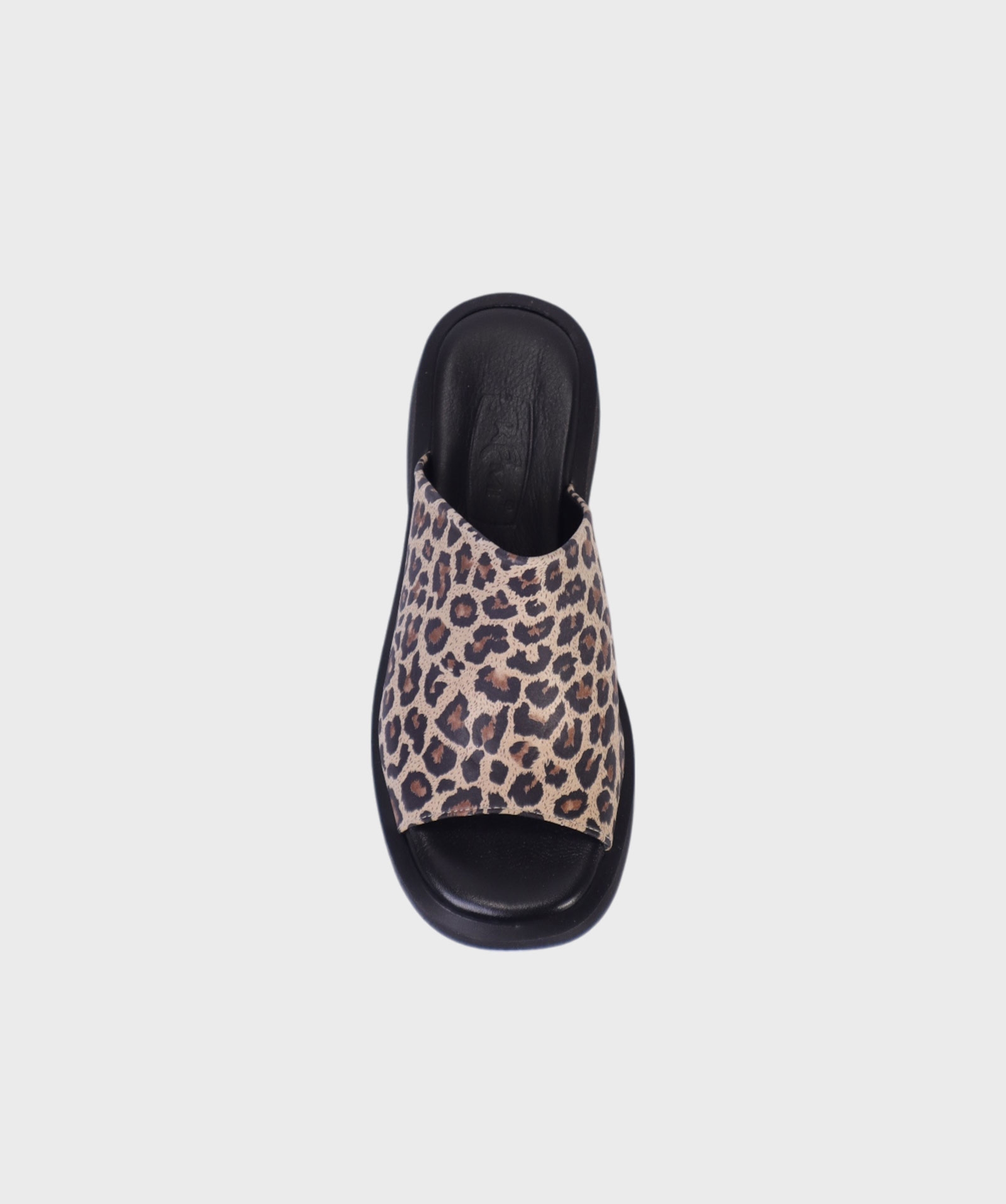 LEOPARD BL SS25 213
