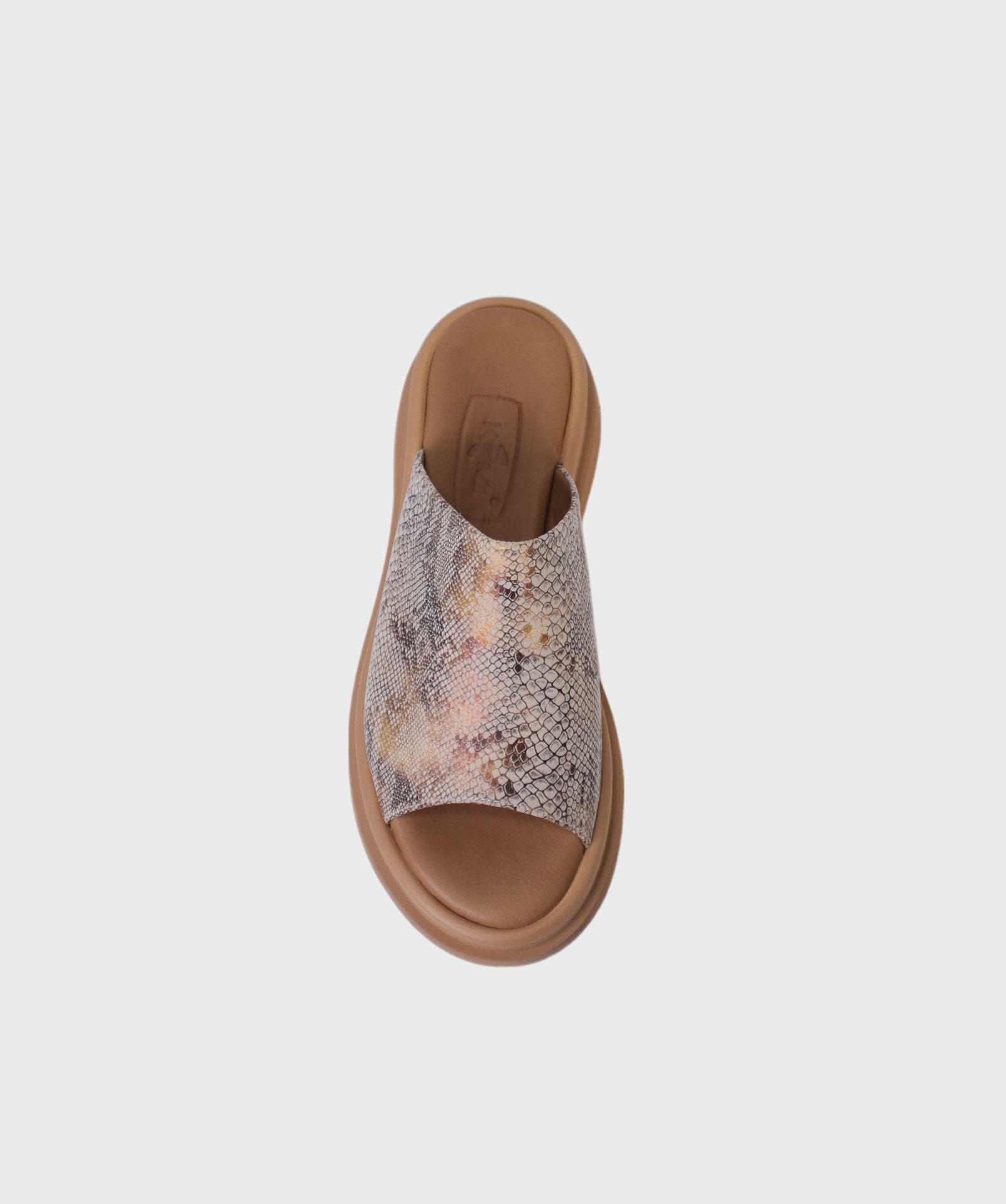 SNAKE BL SS25 14749