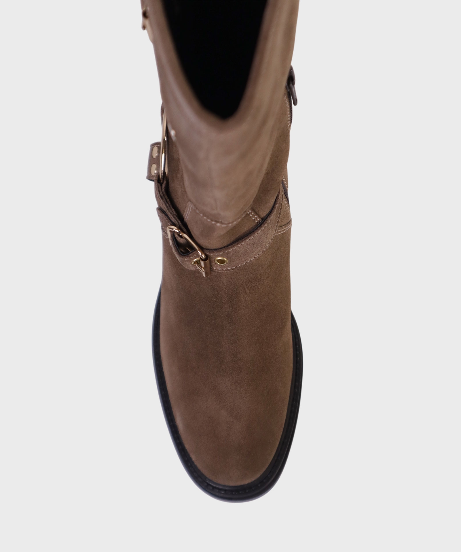 TAUPE RIVA FW25 81506