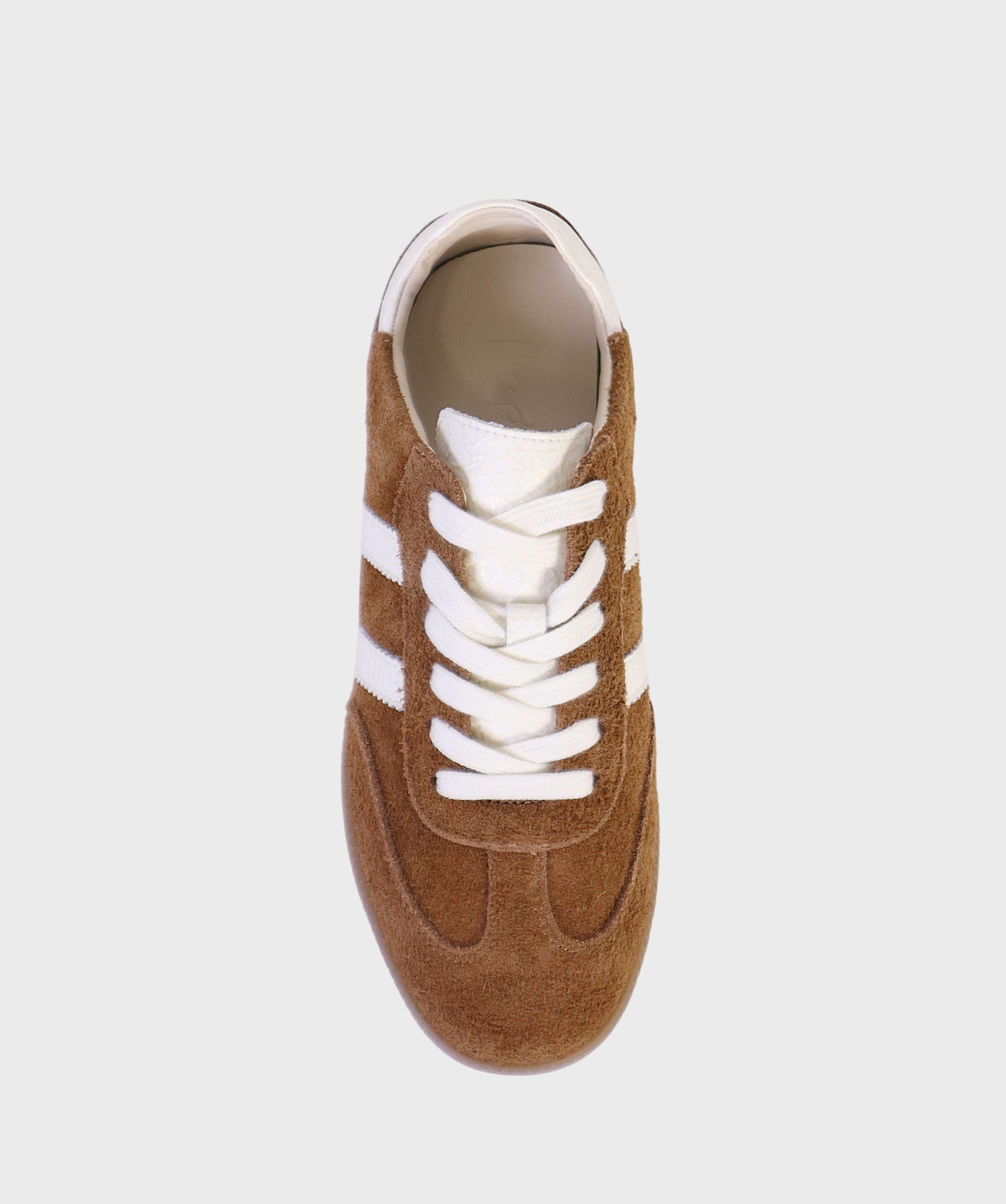 CAMEL BREEZE SS26 2314202RY