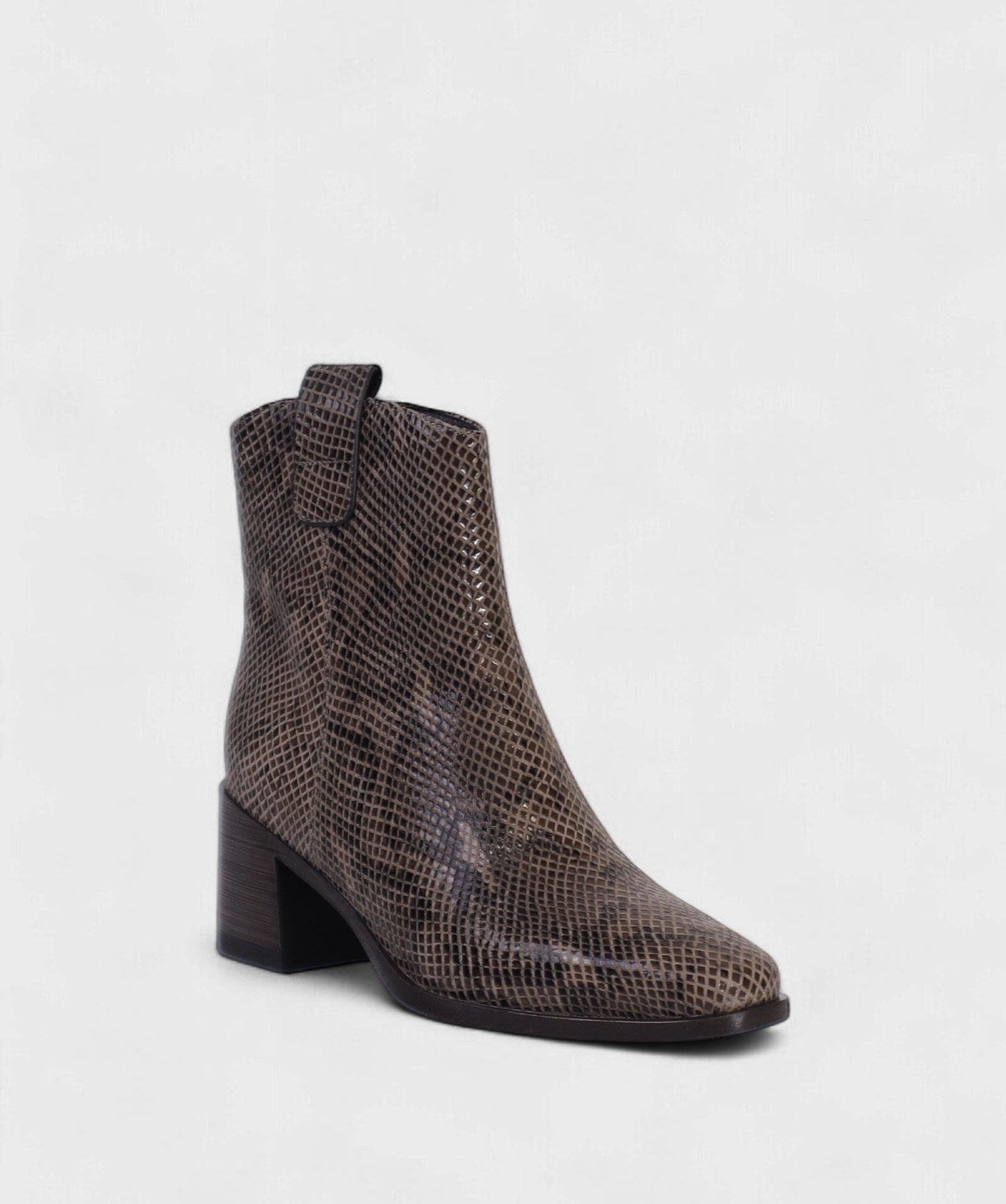 SNAKE CATANIA FW25 LV886