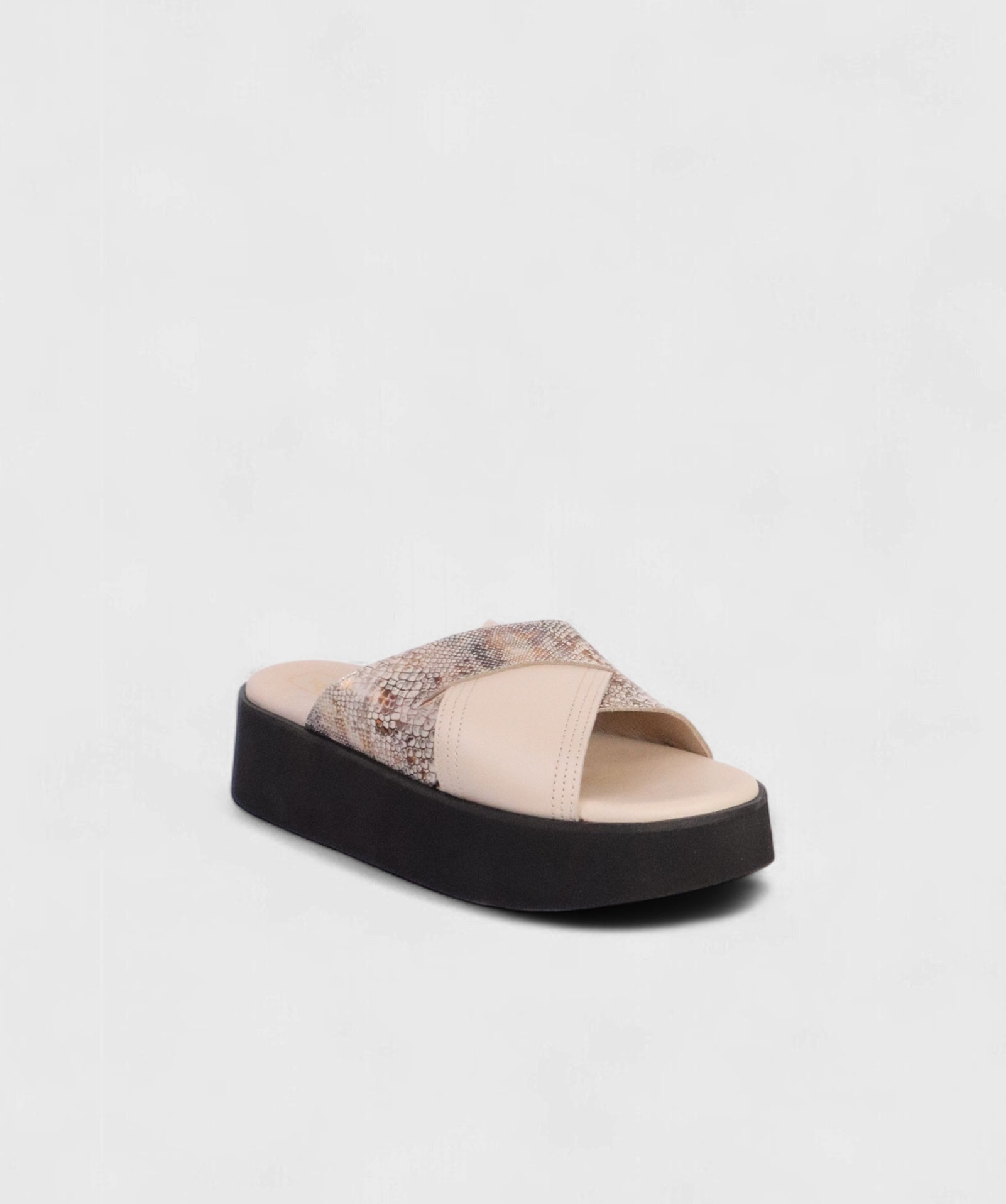 MILK SNAKE AL SS25 1747