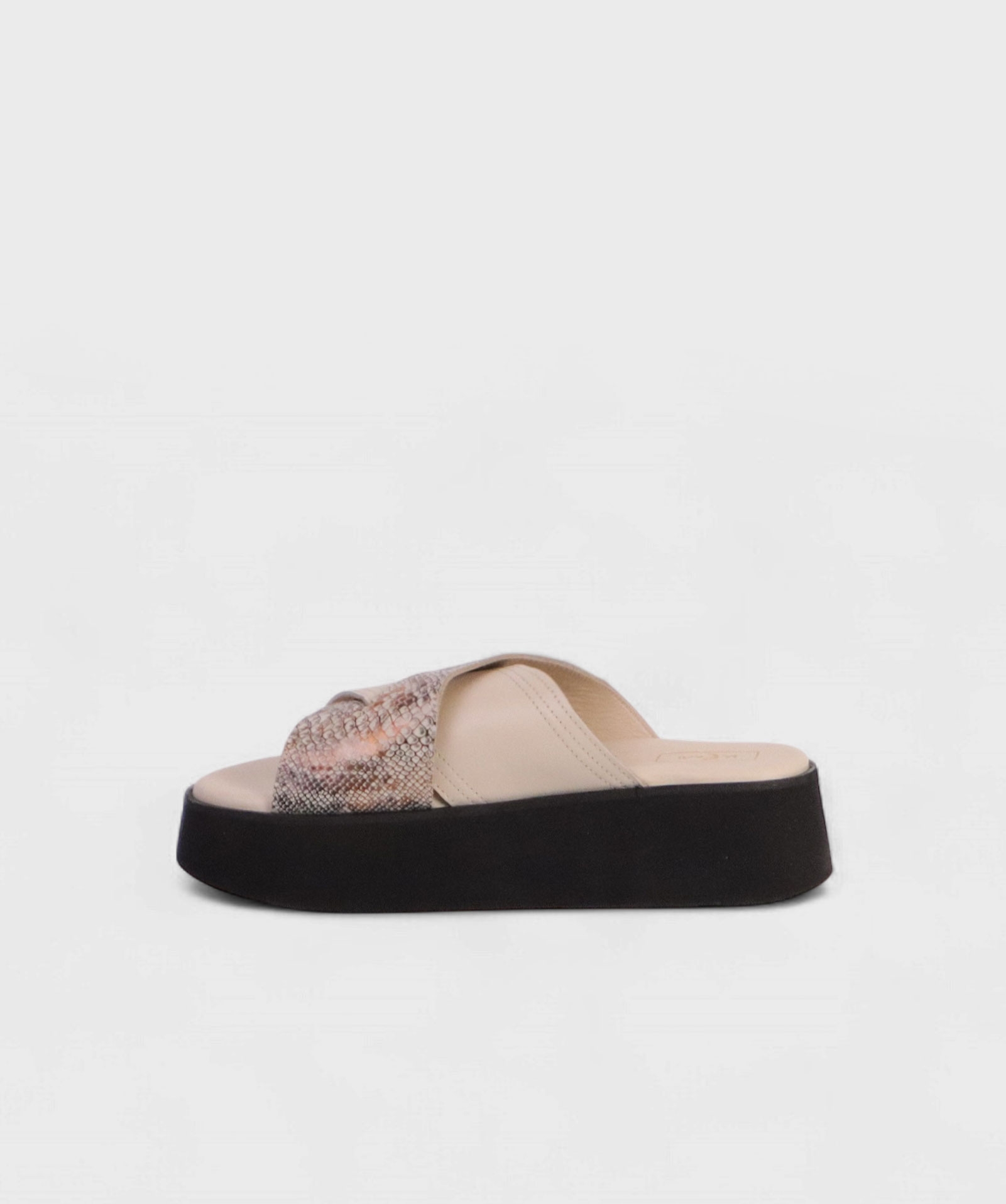 MILK SNAKE AL SS25 1747