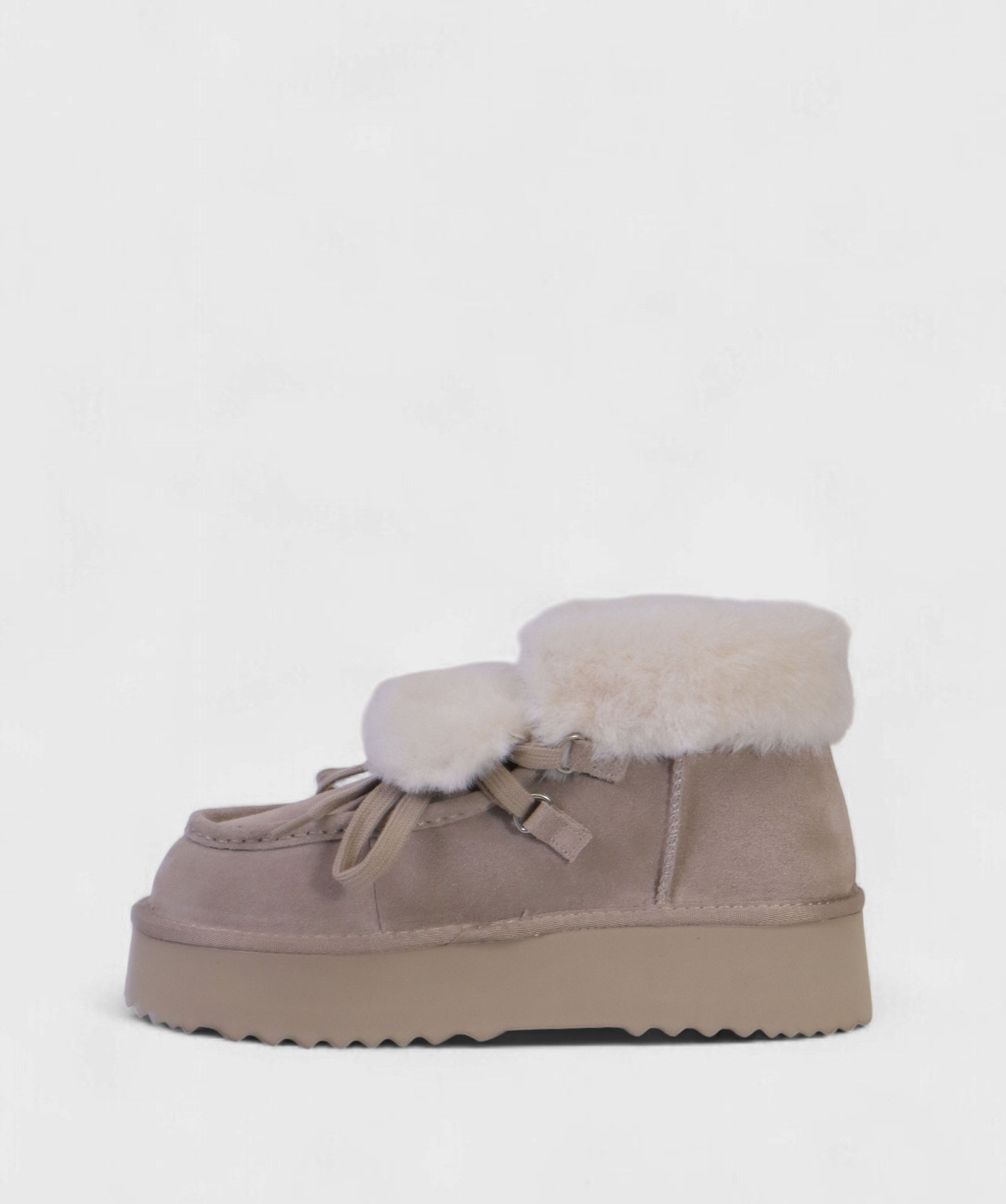 TAUPE NORD FW25 D11310