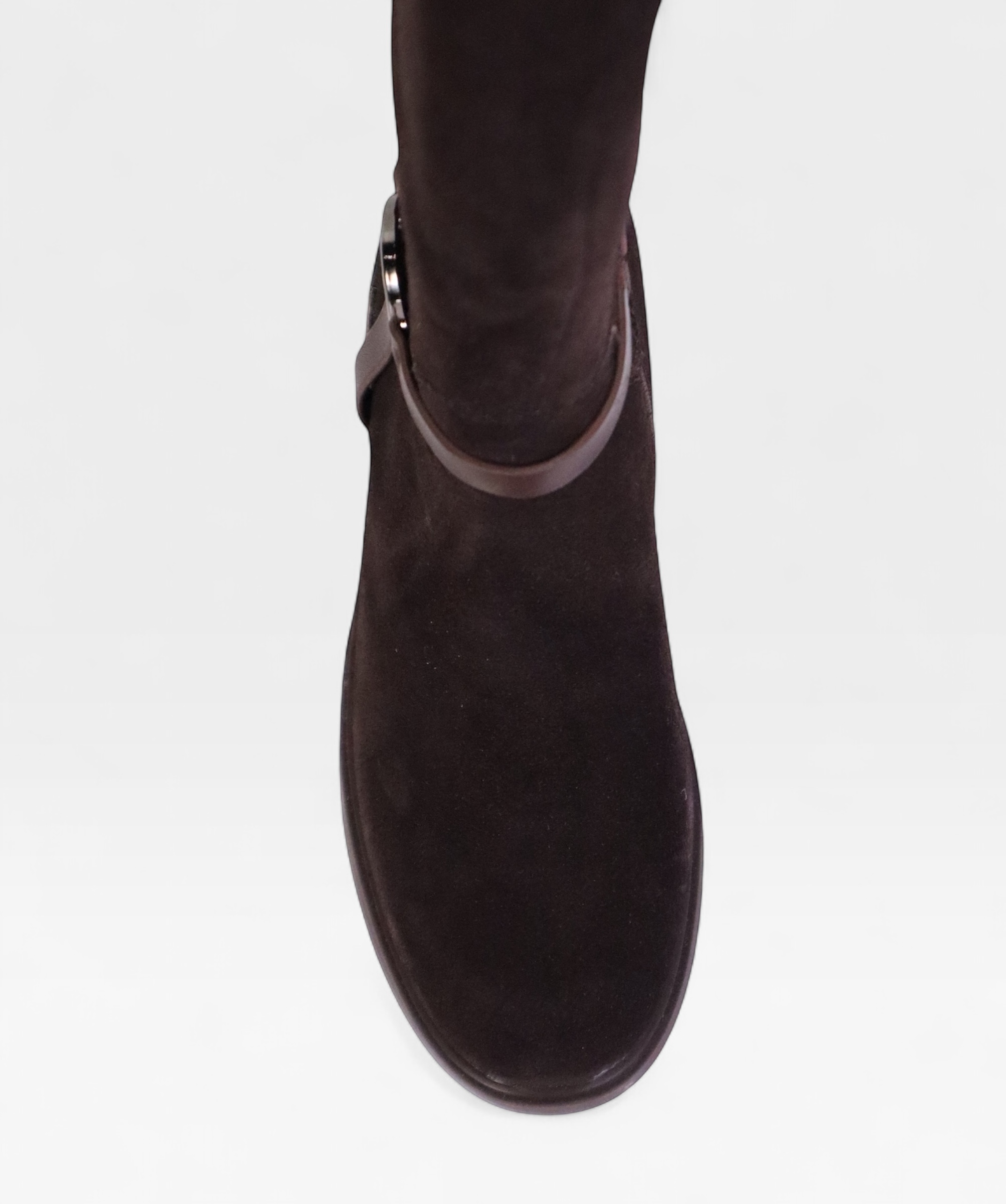 DARK BROWN CAMELLIA FW26 5J205R05