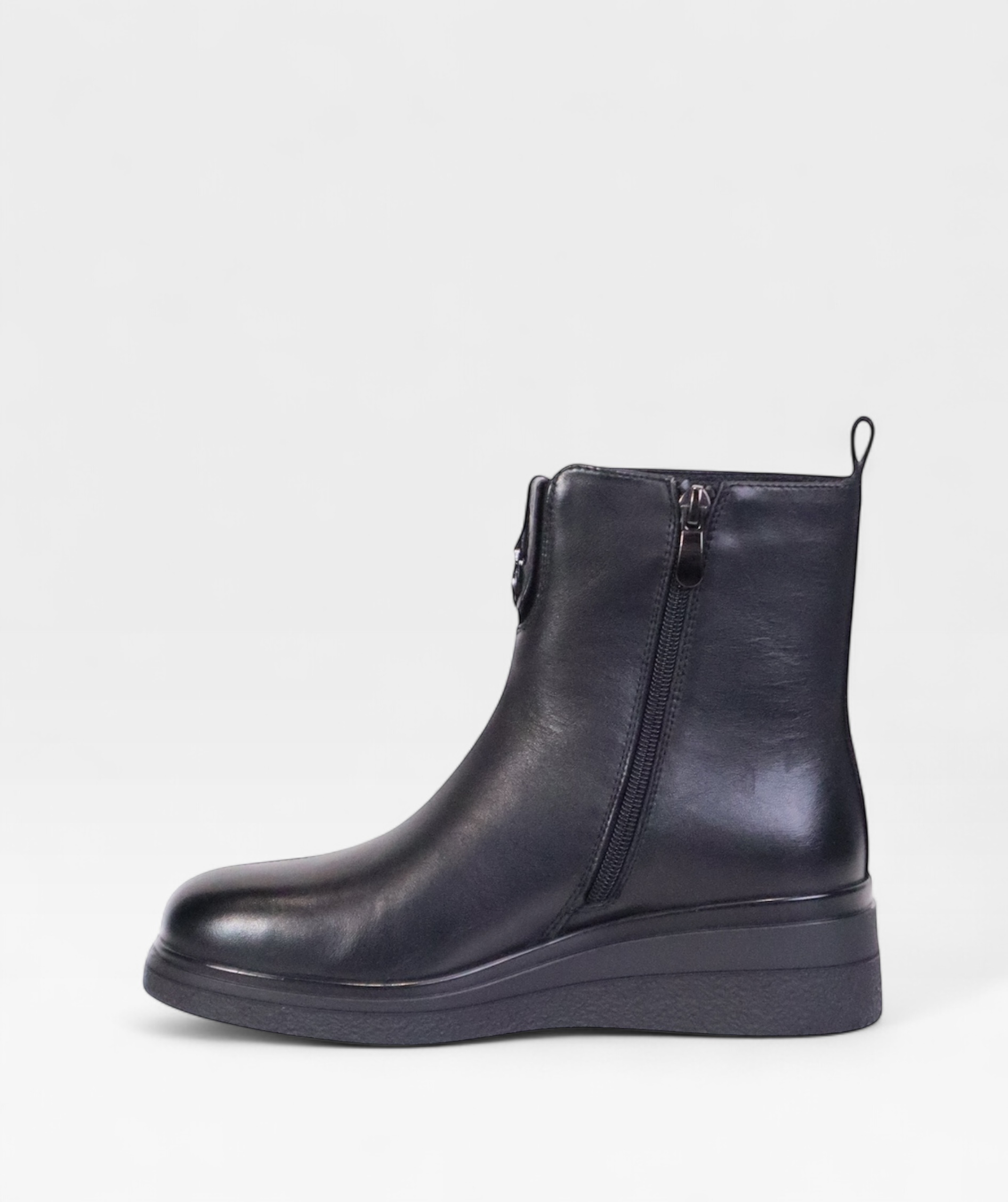 BLACK CAMELLIA FW26 5J197B03