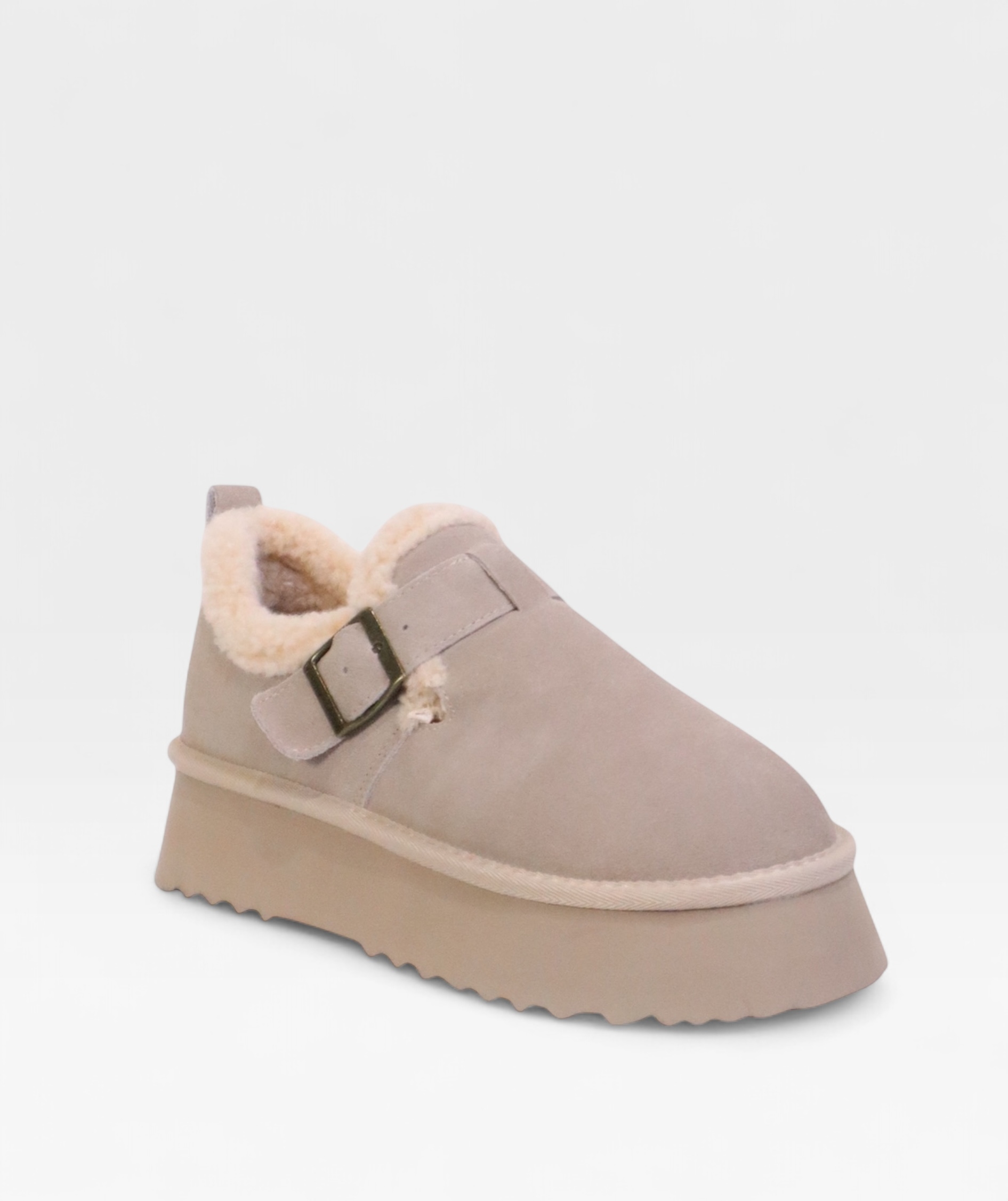 TAUPE POLAR FW26 800710