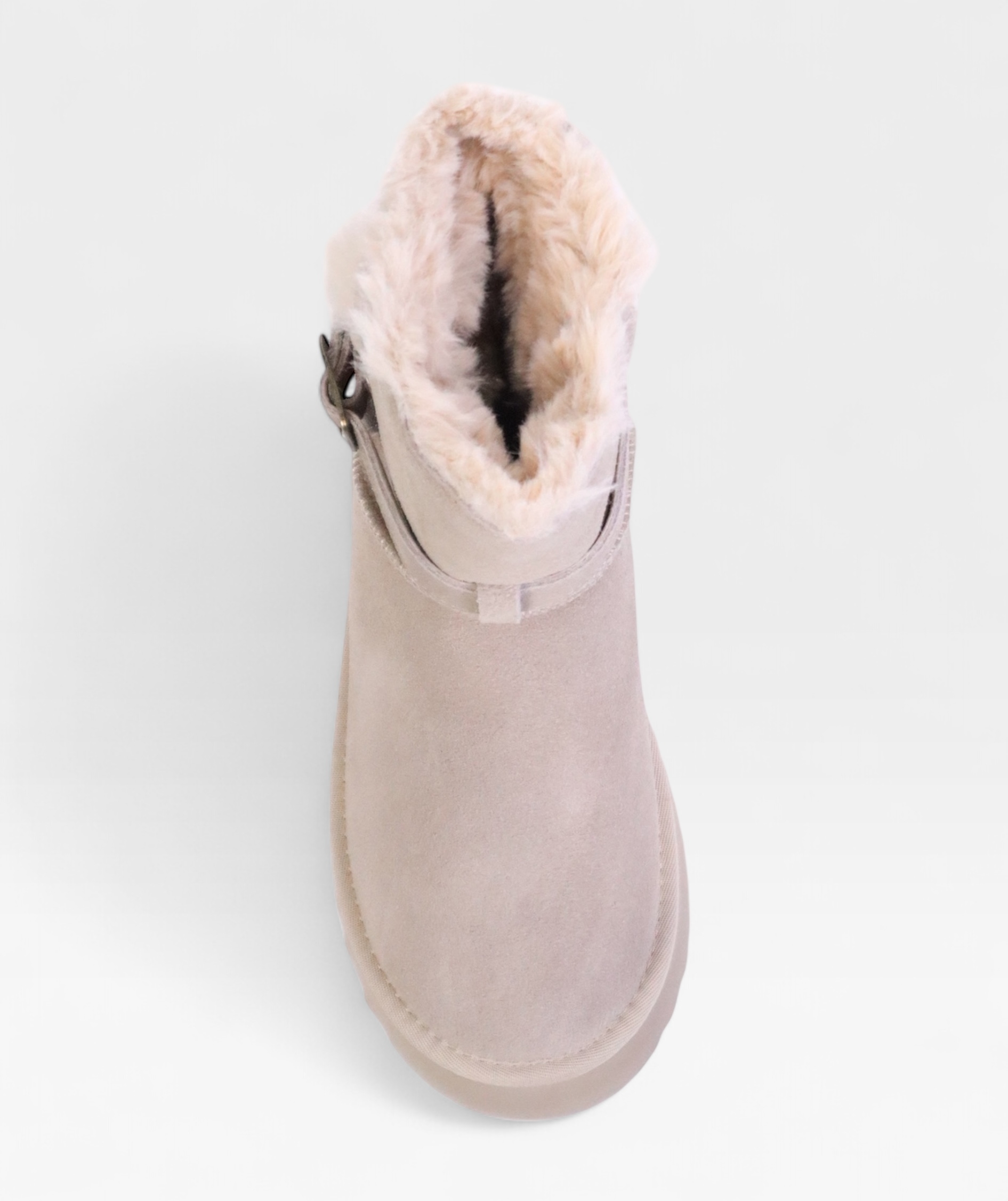TAUPE POLAR FW26 800716