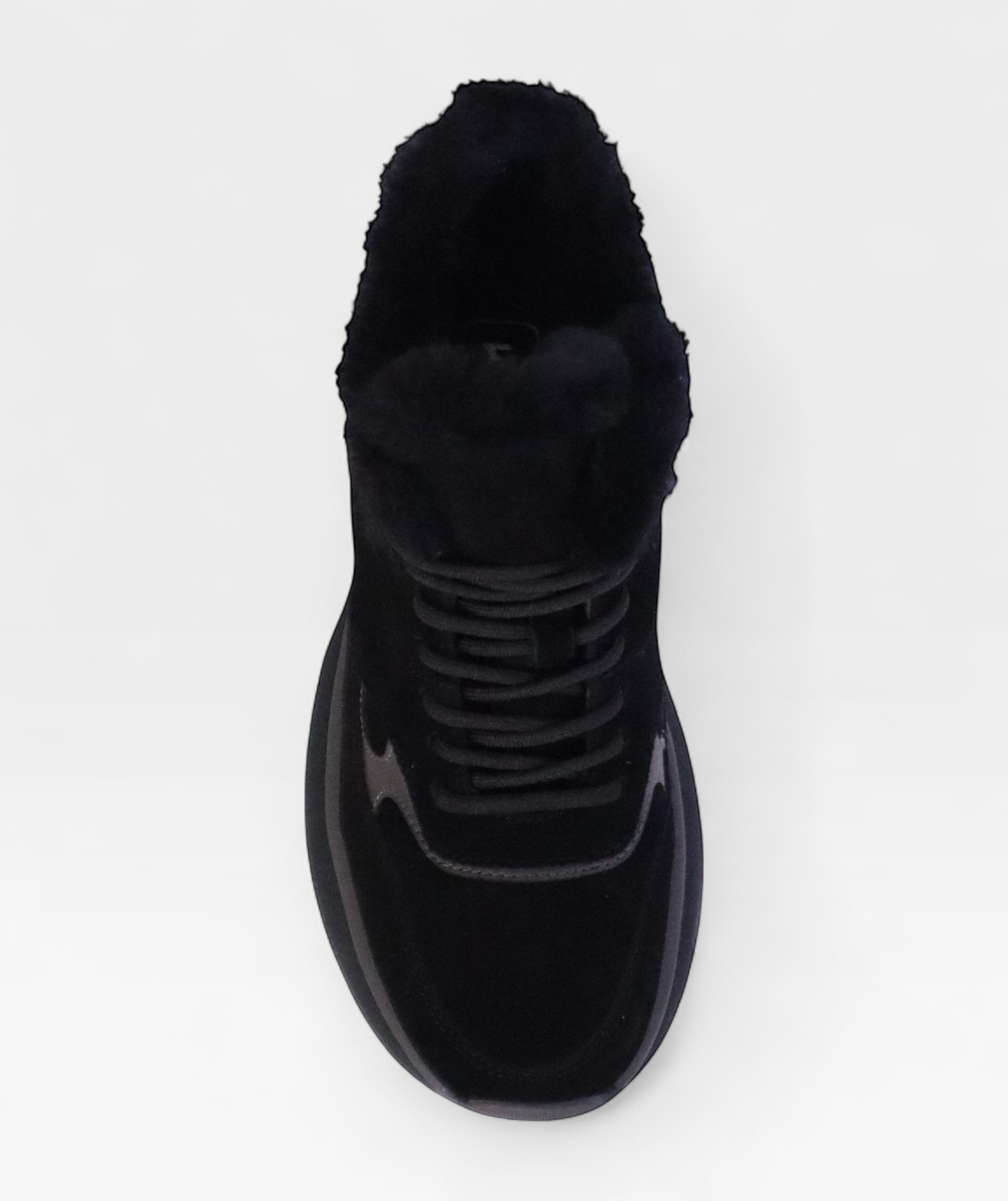 BLACK CAMELLIA FW26 ZHA31