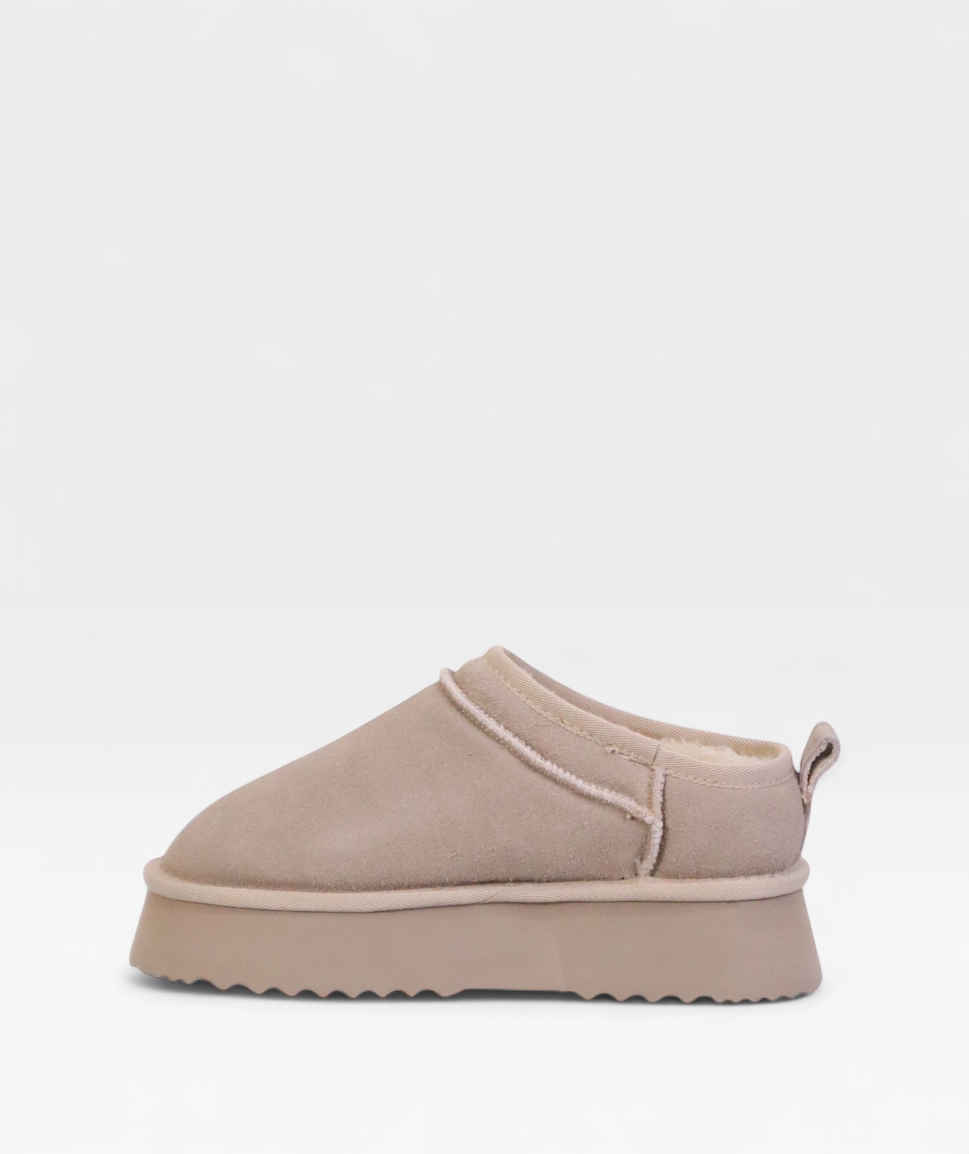 TAUPE POLAR FW26 800712