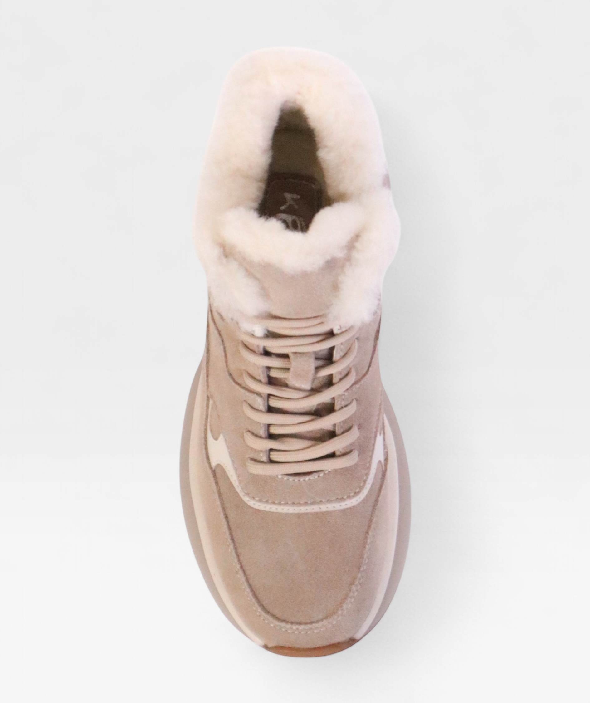 BEIGE CAMELLIA FW26 ZHA31