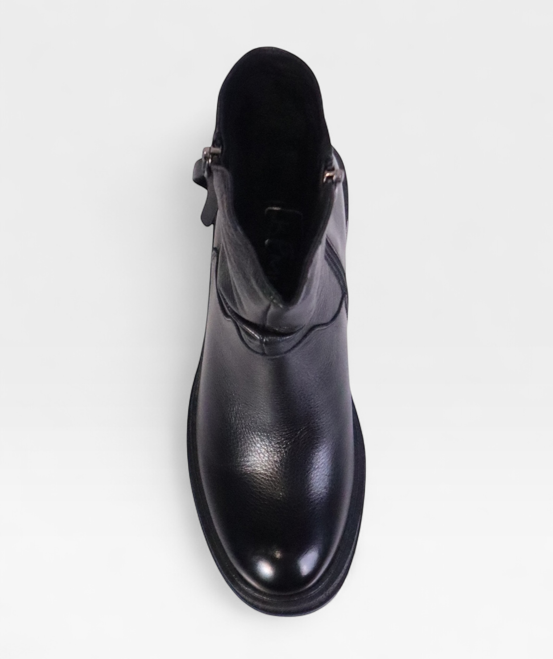 BLACK CAMELLIA FW26 5J230R03