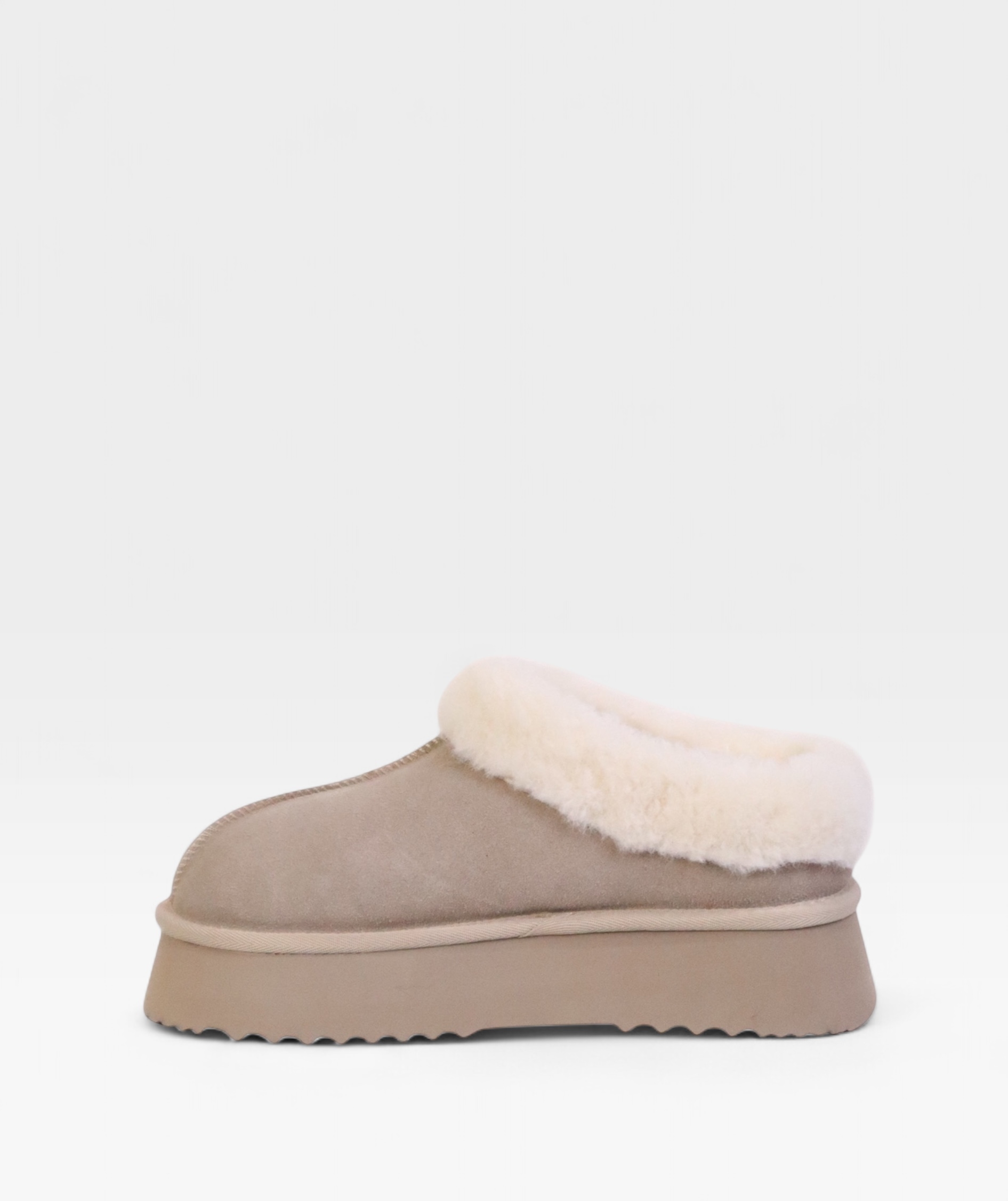 TAUPE POLAR FW26 800713