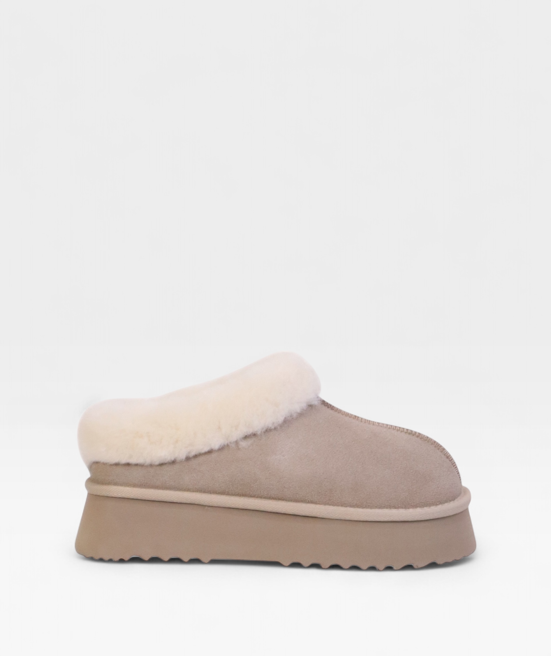 TAUPE POLAR FW26 800713