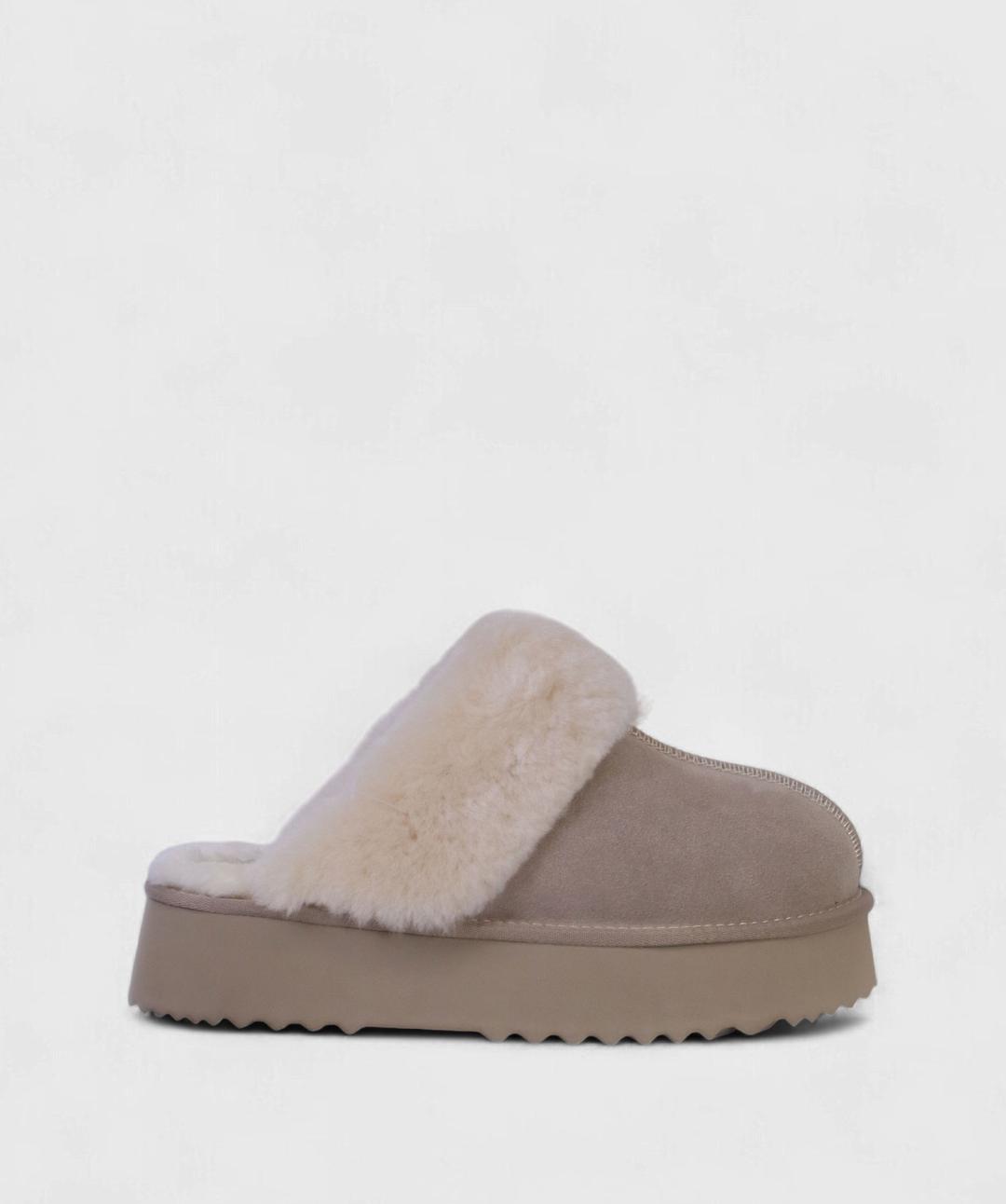 TAUPE NORD FW25 D11311