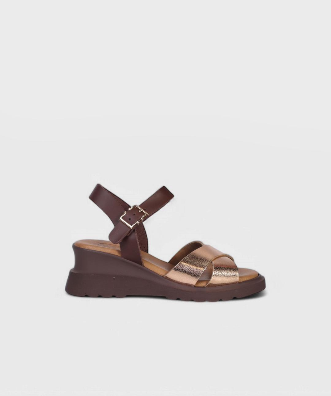 BROWN SA SS25 2505