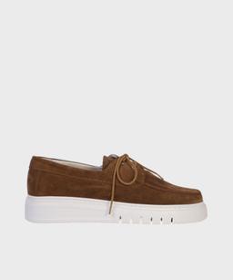 BROWN VK SS25 DAVID
