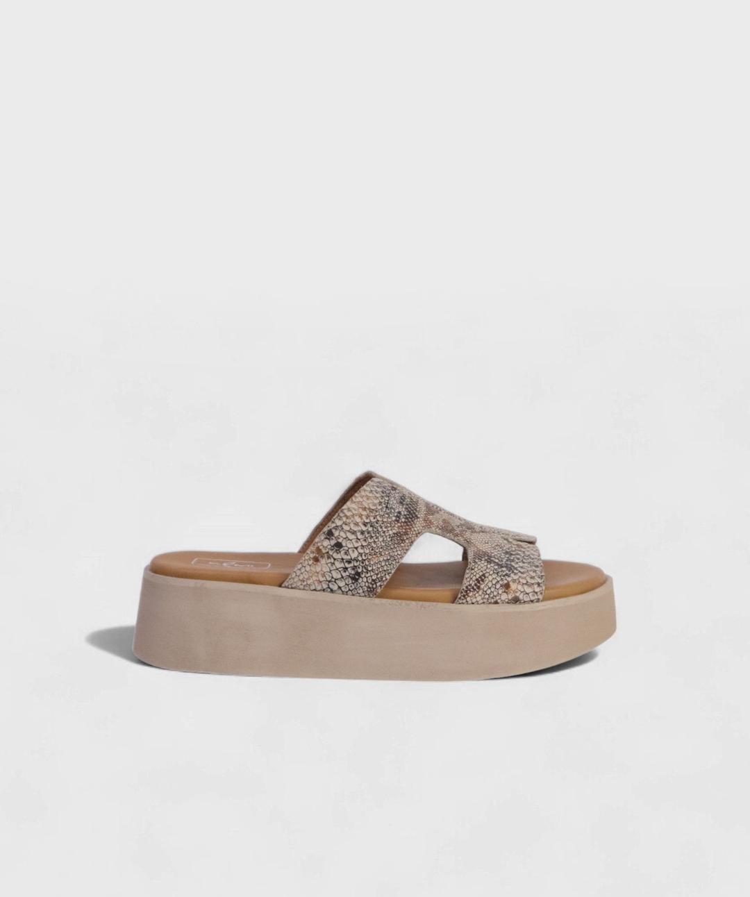 SNAKE AL SS25 1740