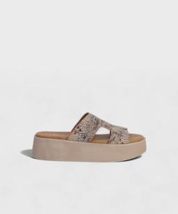 SNAKE AL SS25 1740