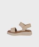 BEJ AZ SS25 S479
