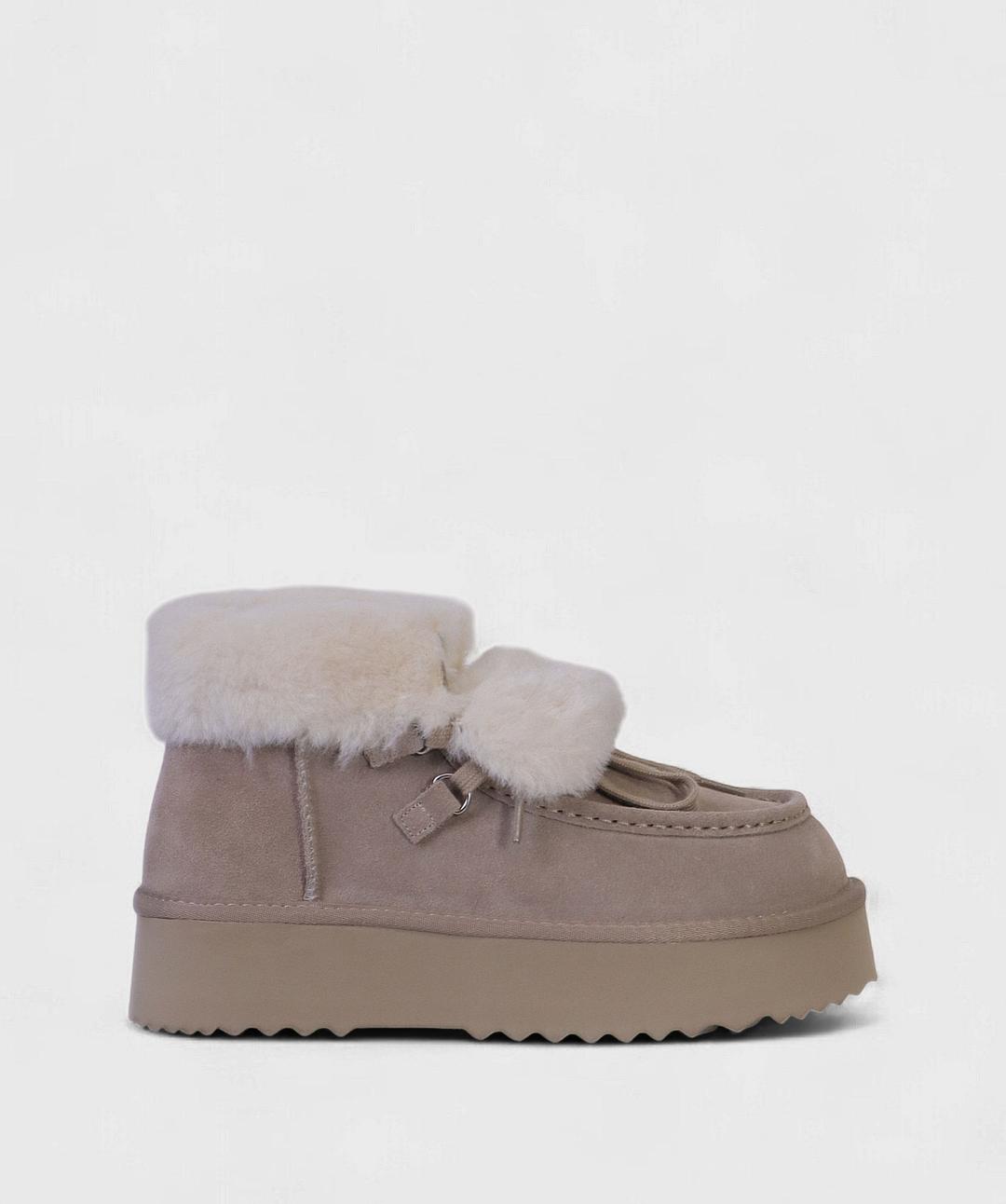 TAUPE NORD FW25 D11310