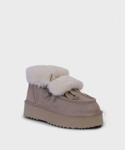 TAUPE NORD FW25 D11310