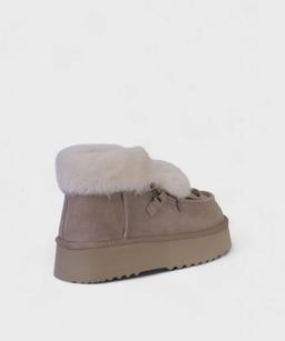 TAUPE NORD FW25 D11310