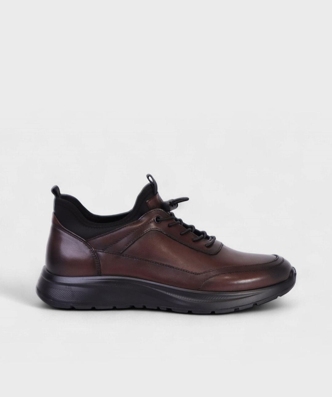 BROWN SASSARI FW25 HT6401