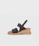 BROWN SA SS25 2549