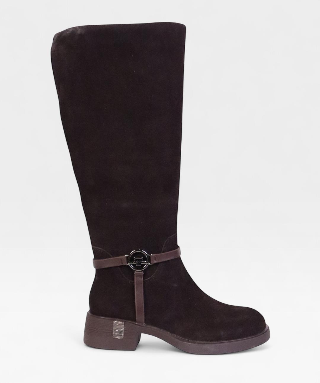 DARK BROWN CAMELLIA FW26 5J205R05