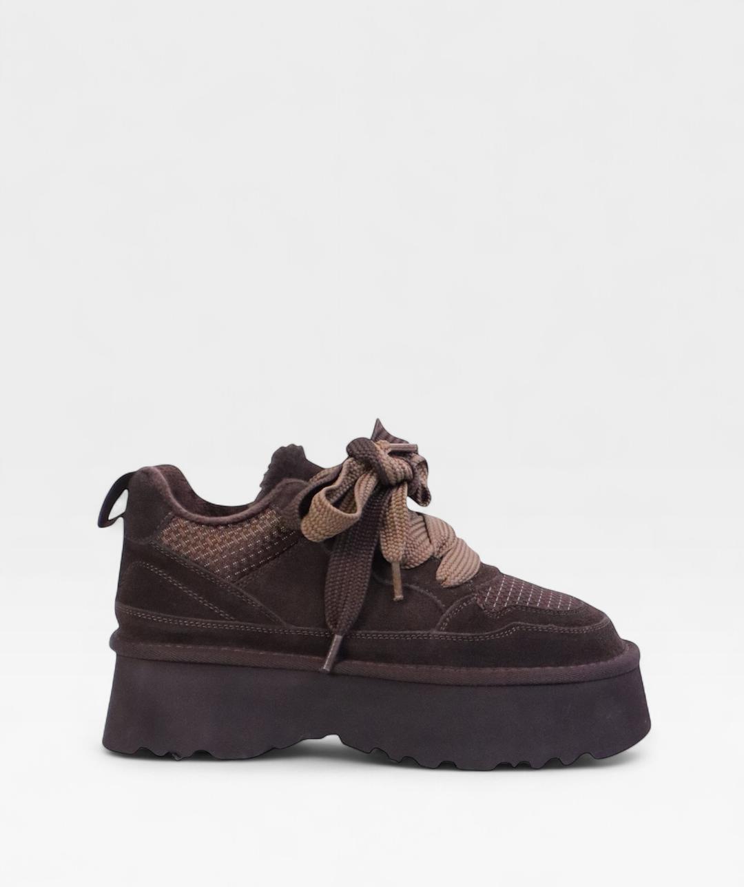 DARK BROWN  POLAR FW26 80111