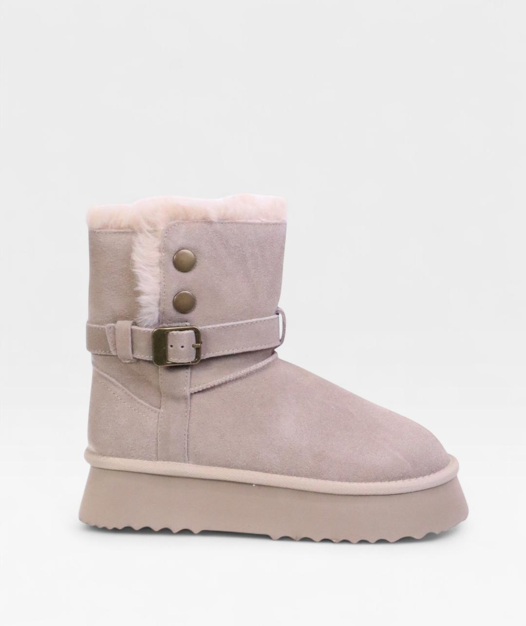 TAUPE POLAR FW26 800716