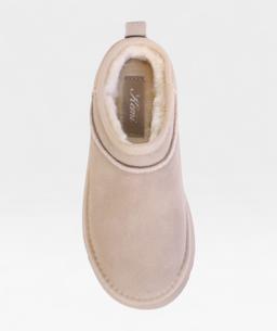 TAUPE POLAR FW26 800712