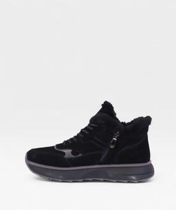 BLACK CAMELLIA FW26 ZHA31
