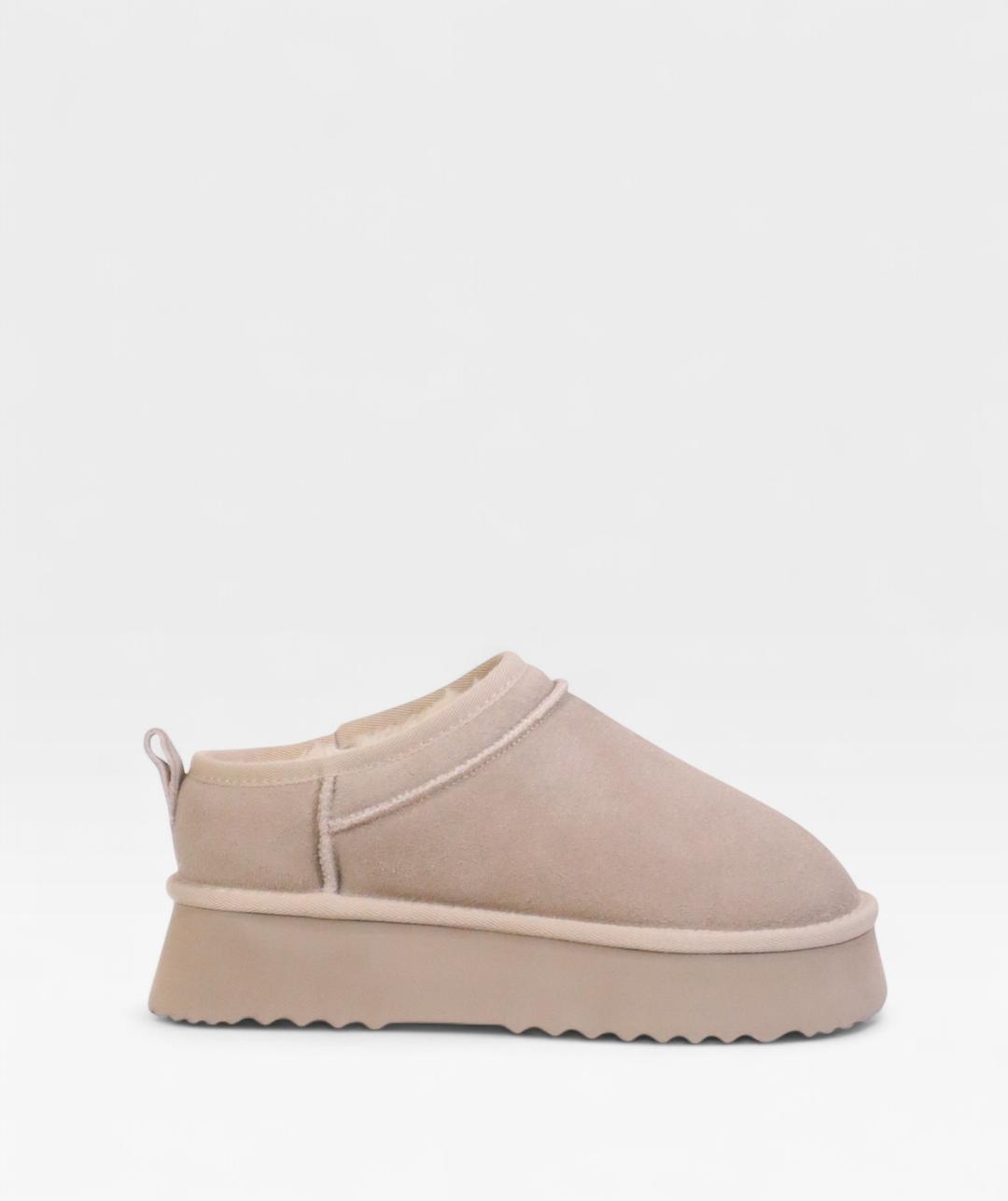 TAUPE POLAR FW26 800712