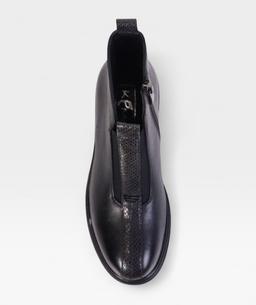 BLACK CAMELLIA FW26 5J197B01