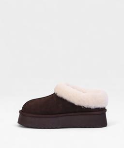 DARK BROWN POLAR FW26 800713