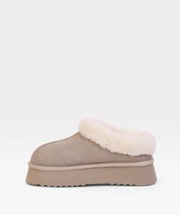 TAUPE POLAR FW26 800713