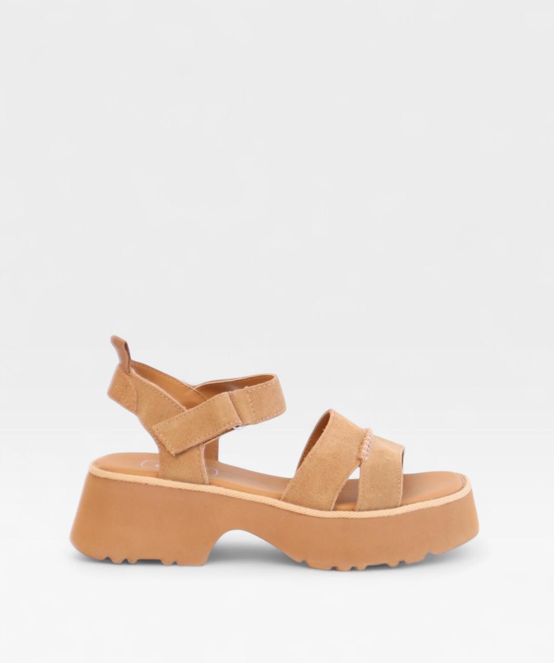 CAMEL ZAZA SS26 OS003